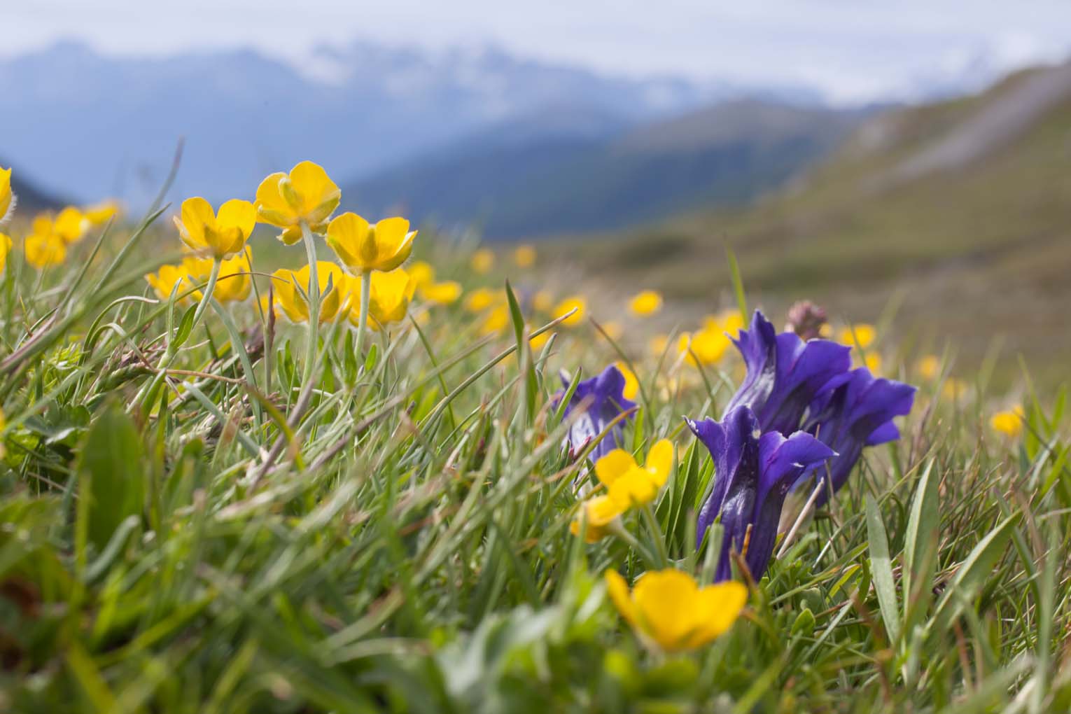 Frühling im Vinschgau - Wohnen im Schnatzhof